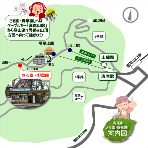 高尾山駅から「さる園・野草園」までの案内図
