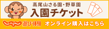 高尾山さる園・野草園入園チケット　オンライン購入はこちら　じゃらん　遊び体験