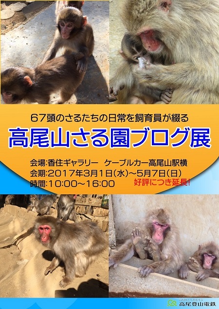 高尾山さる園ブログ展　会期延長のお知らせ