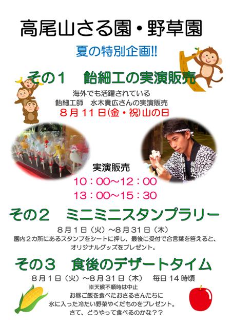 夏の特別企画について