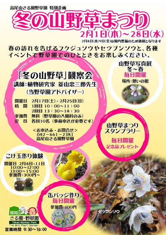 さる園・野草園2月のイベント「冬の山野草まつり」について