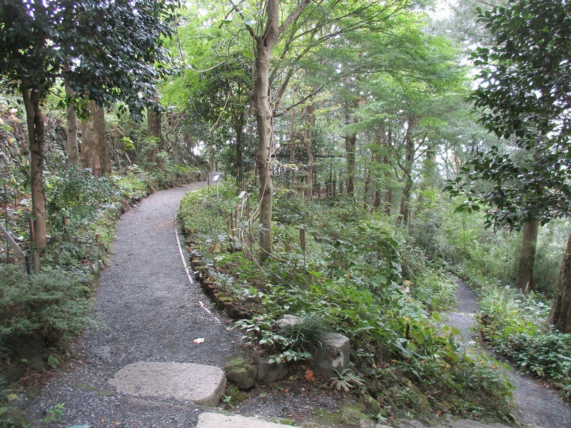 野草園通行止め解除のお知らせ