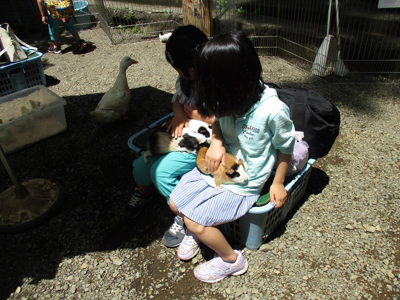 こんどの土・日は「いちにちどうぶつむら」