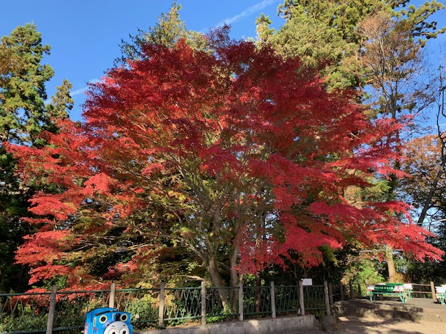 開園時間変更のお知らせ