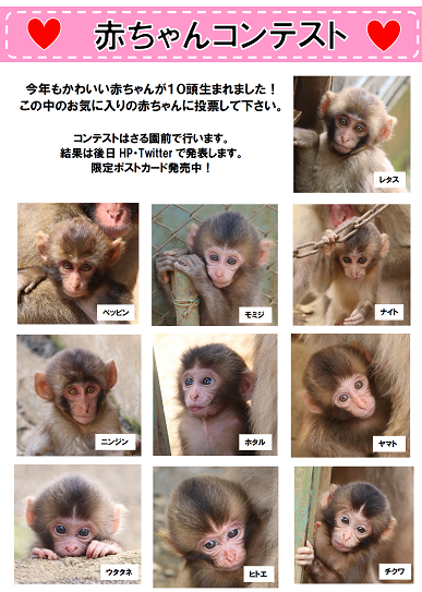 お知らせ 詳細情報 高尾山さる園 野草園