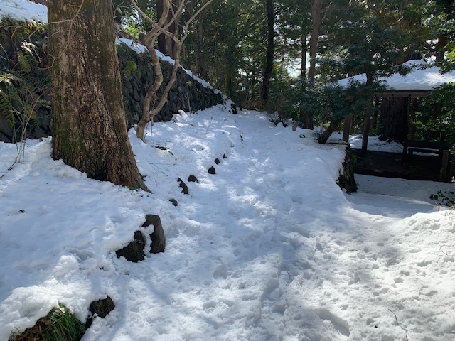 さる園・野草園　開園状況について