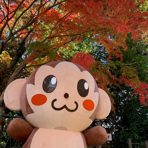 １２月からの営業時間について