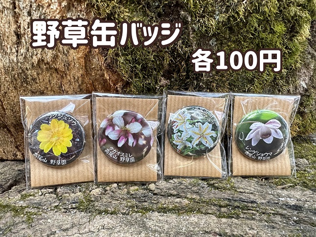 【新商品】野草缶バッジ