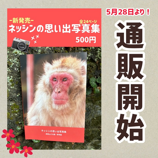 「ネッシンの思い出写真集」の通販開始のお知らせ