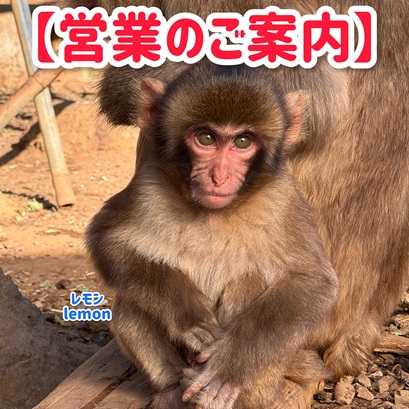 12月：営業時間変更と休園日のお知らせ