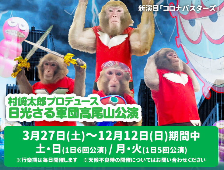 21年 日光さる軍団高尾山公演 高尾山さる園 野草園 21年 日光さる軍団高尾山公演 高尾山さる園 野草園