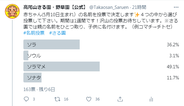 赤ちゃんの名前投票を行っています 高尾山さる園ブログ